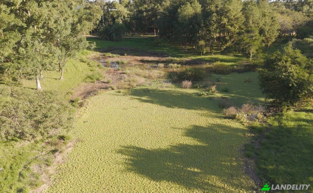 Investing/Development for Sale Capiata 110209, Capiata, Central Department, Paraguay. Photo 6