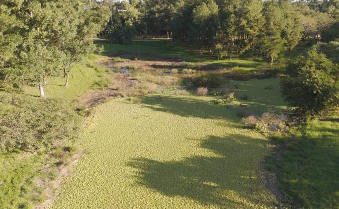 Investing/Development for Sale Capiata 110209. Photo#6 Investing/Development for Sale Capiata 110209. Photo#6