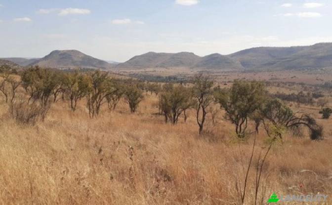 Lote de terreno en venta Pretoria Rural, Centurion. Foto#3