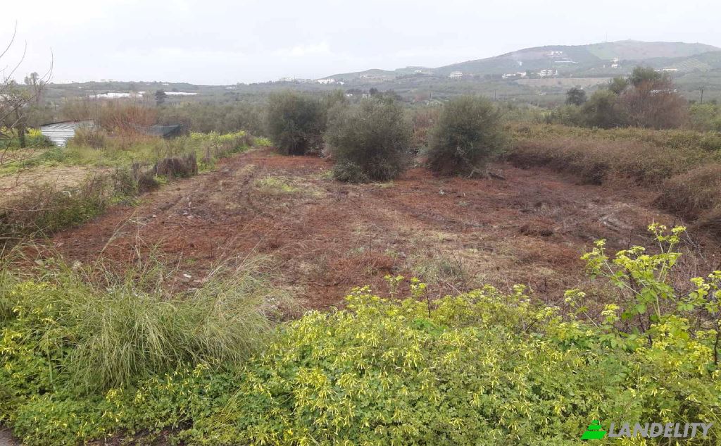 Lot de terrain à vendre dos xoris onomasia, Milopotamos, Geropotamos, Crete, Decentralized Administration of Crete, Greece. Photo 1
