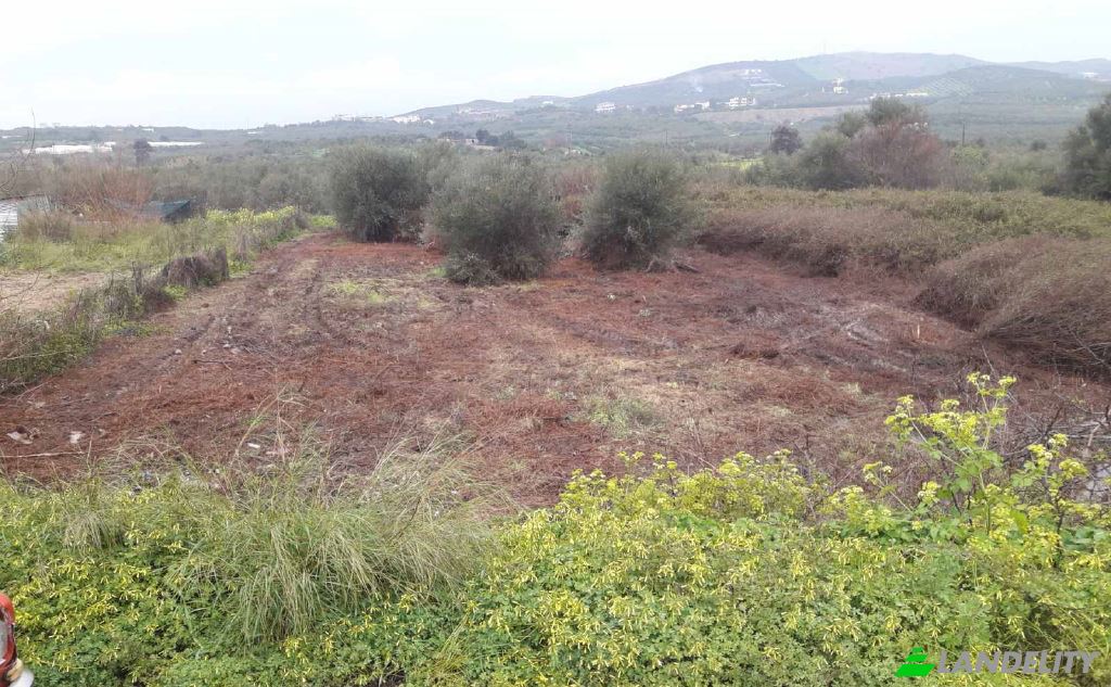 Lot de terrain à vendre dos xoris onomasia, Milopotamos, Geropotamos, Crete, Decentralized Administration of Crete, Greece. Photo 3