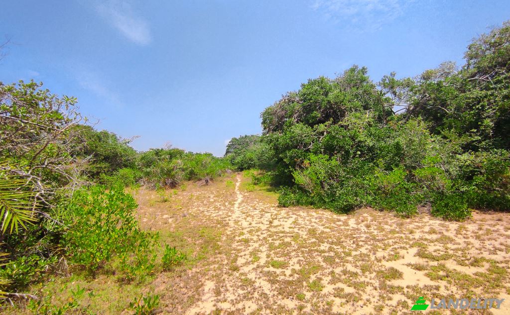 Land Lot for Sale Wanathavillu, Puttalam, North Western Province, Sri Lanka. Photo 7