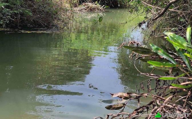 Land Lot for Sale - Wanathavillu, Sri Lanka