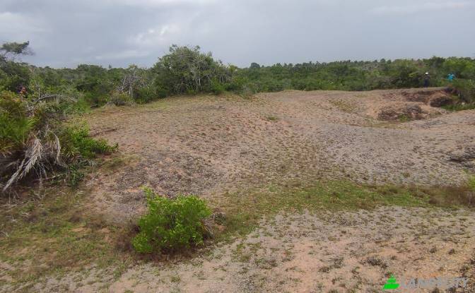 Land Lot for Sale Wanathavillu, Puttalam. Photo#6 Land Lot for Sale Wanathavillu, Puttalam. Photo#6