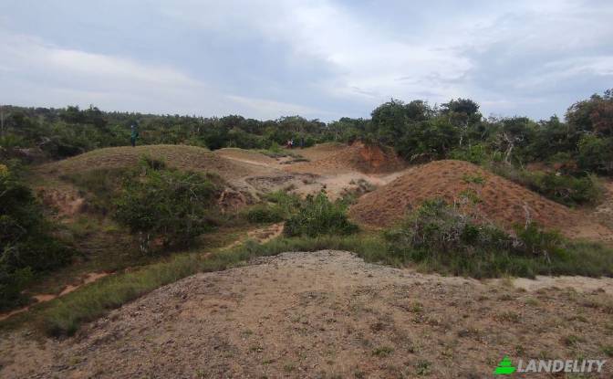Land Lot for Sale Wanathavillu, Puttalam. Photo#3 Land Lot for Sale Wanathavillu, Puttalam. Photo#3