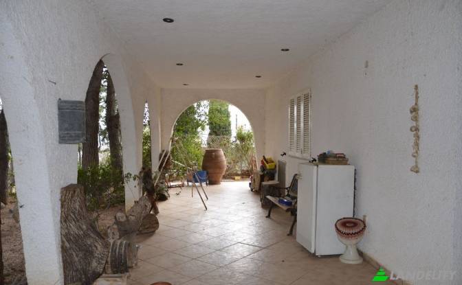 Single Family Home for Sale Agiou Dionisiou. Photo#2