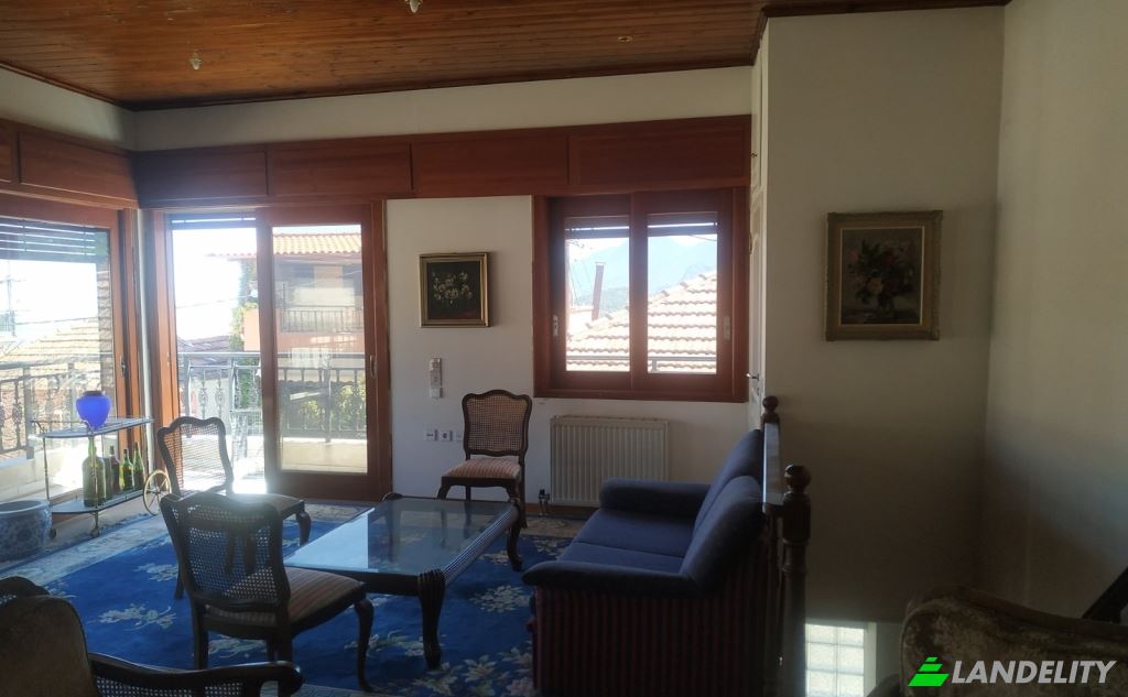 Single Family Home for Sale Filonos, Levadhia, Livadia, Central Greece, Decentralized Administration of Thessaly and Central Greece, Greece. Photo 7