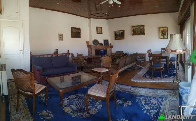 Single Family Home for Sale Filonos, Levadhia. Photo#5