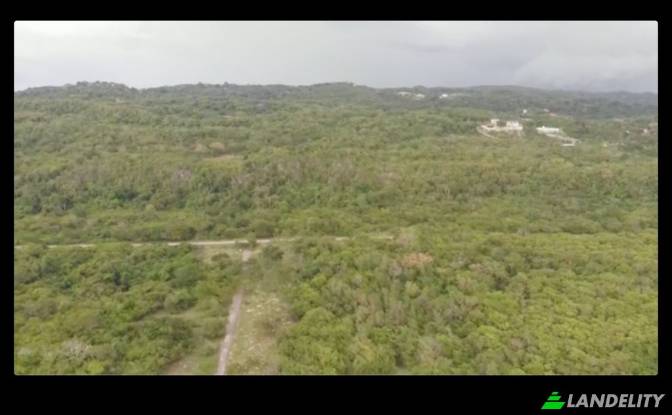Land Lot for Sale End Rd, West End. Photo#8