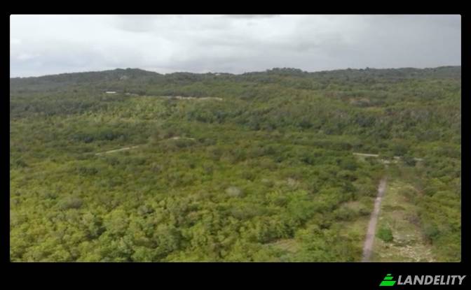 Land Lot for Sale End Rd, West End. Photo#5