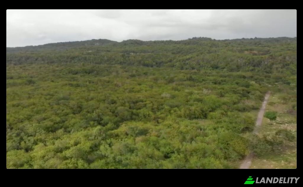 Land Lot for Sale End Rd, West End, Westmoreland Parish, Jamaica. Photo 7
