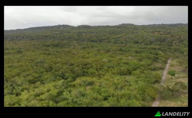 Land Lot for Sale End Rd, West End. Photo#7