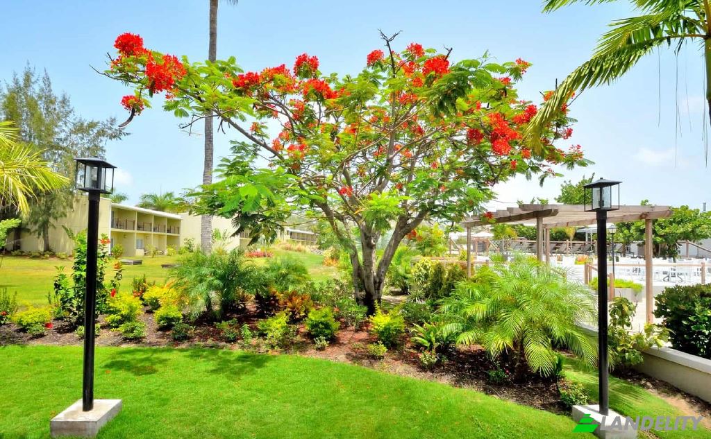 Apartment for Sale Zenway Boulevard Frigate Bay St Kitts, St Kitts Nevis, Lucas, Saint Peter Basseterre Parish, Saint Kitts and Nevis. Photo 4