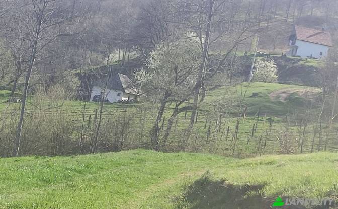 Lote de terreno en venta Obod, Potrk. Foto#5