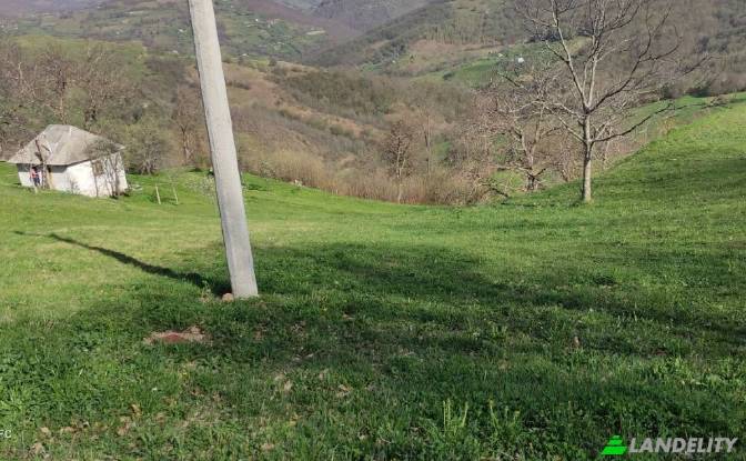 Lote de terreno en venta Obod, Potrk. Foto#6