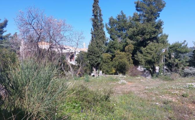 Land Lot for Sale Kizikou 11, Dionisos 145 76. Photo#5 Land Lot for Sale Kizikou 11, Dionisos 145 76. Photo#5