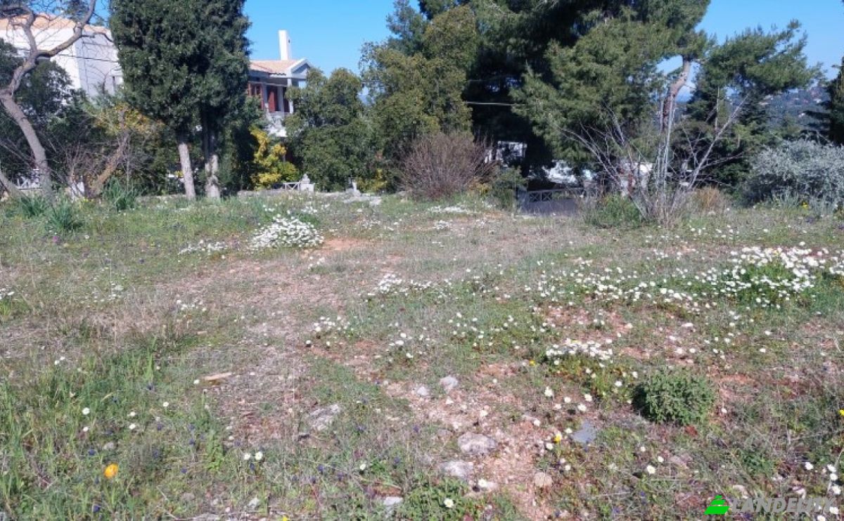 Land Lot for Sale Kizikou 11, Dionisos 145 76, Dionysos, Attica, Decentralized Administration of Attica, Greece. Photo 6