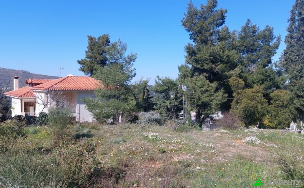 Land Lot for Sale Kizikou 11, Dionisos 145 76, Dionysos, Attica, Decentralized Administration of Attica, Greece. Photo 7
