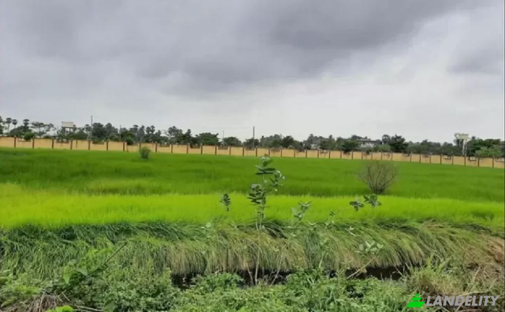 Lotto di terreno in vendita Nawan Pind Rd, Gujranwala, Punjab, Pakistan. Foto 1