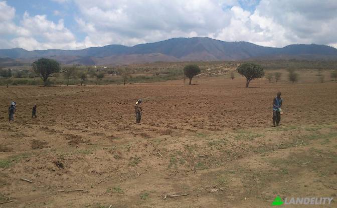 Land Lot for Sale - Kongoni, Kenya