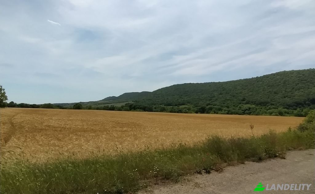 Land Lot for Sale Trite Chuchura, reka Aheloy, Gaberovo, Pomorie, Burgas, Bulgaria. Photo 1