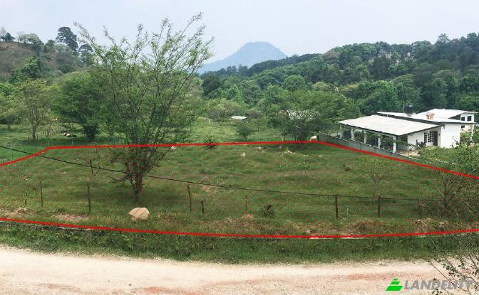Land Lot for Sale Revolucion, Xico, Veracruz. Photo#3 Land Lot for Sale Revolucion, Xico, Veracruz. Photo#3