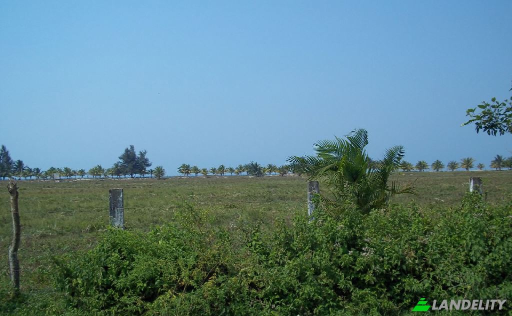 Single Family Home for Sale Tela, Atlantida Department, Honduras. Photo 7