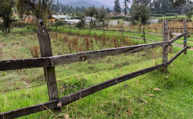 Land Lot for Sale Guasca, Cundinamarca, Colombia. Photo#11 Land Lot for Sale Guasca, Cundinamarca, Colombia. Photo#11