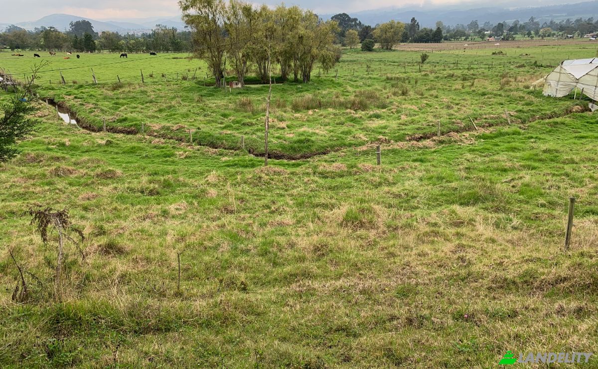 Land Lot for Sale Guasca, Cundinamarca, Colombia. Photo 13