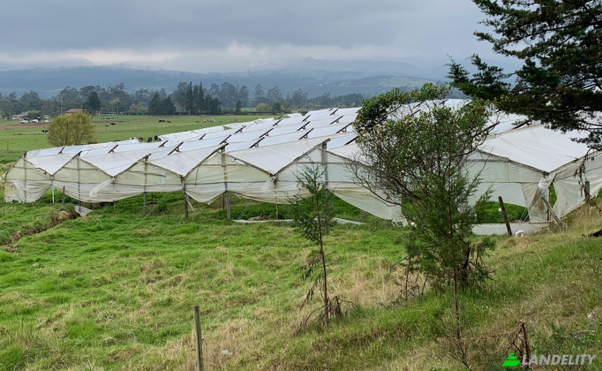 Land Lot for Sale Guasca, Cundinamarca, Colombia. Photo 10