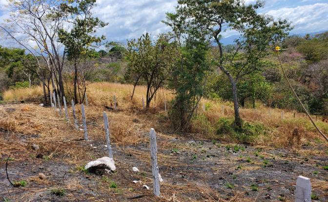 Land Lot for Sale Provincia de Puntarenas. Photo#2 Land Lot for Sale Provincia de Puntarenas. Photo#2