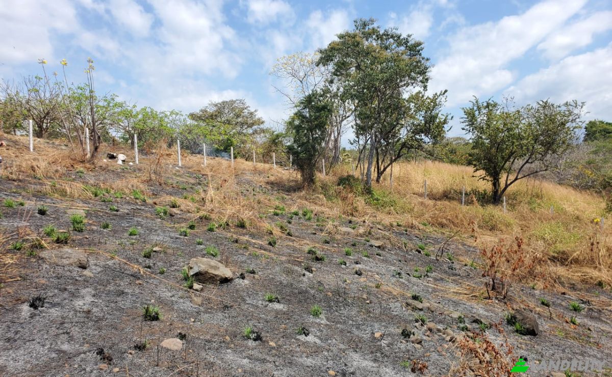 Land Lot for Sale Provincia de Puntarenas, Garabito, Puntarenas Province, Costa Rica, Bajamar, 61102. Photo 3