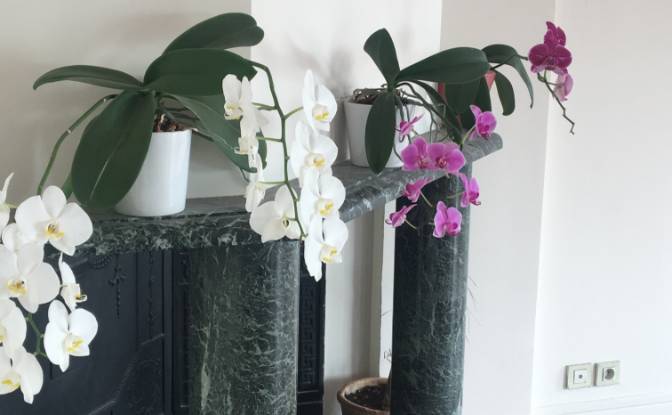 Apartment for Sale Yildiz, Citlenbik Sk No:. Photo#18 Apartment for Sale Yildiz, Citlenbik Sk No:. Photo#18