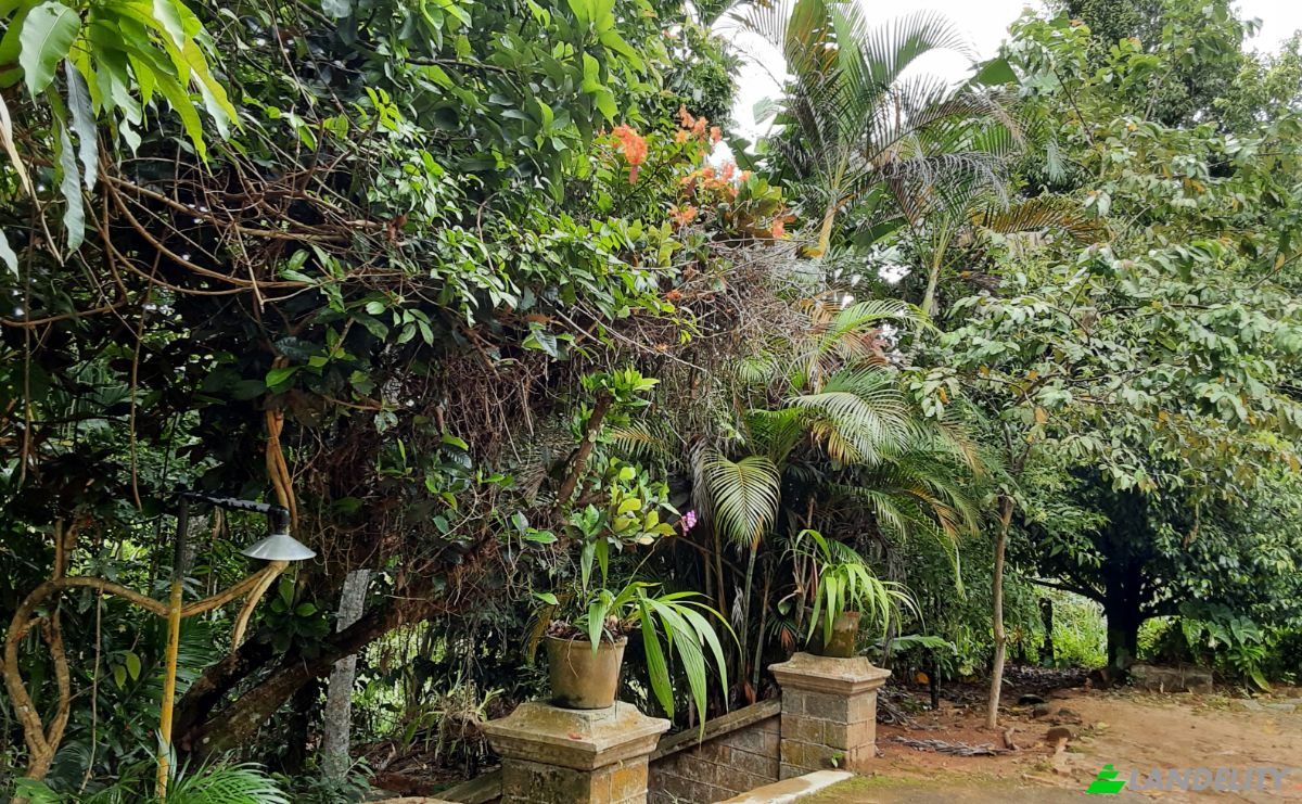 Casa unifamiliare in vendita Amgasthenna, Kandy, Central Province, Sri Lanka. Foto 10