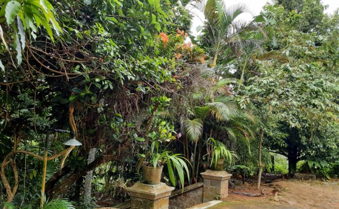 Casa unifamiliare in vendita Amgasthenna, Kandy. Foto#10