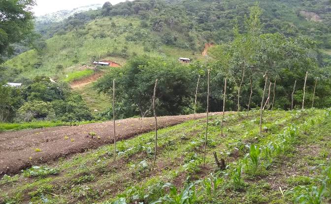 Land Lot for Sale Frente A Entrada Lastre. Photo#15