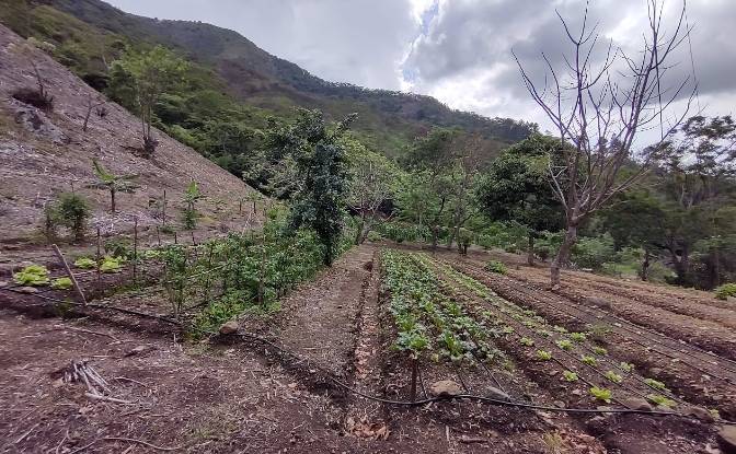 Land Lot for Sale Frente A Entrada Lastre. Photo#18