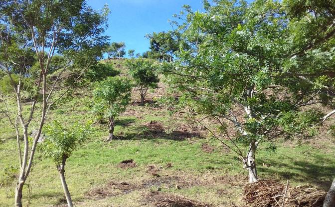Land Lot for Sale Frente A Entrada Lastre. Photo#4