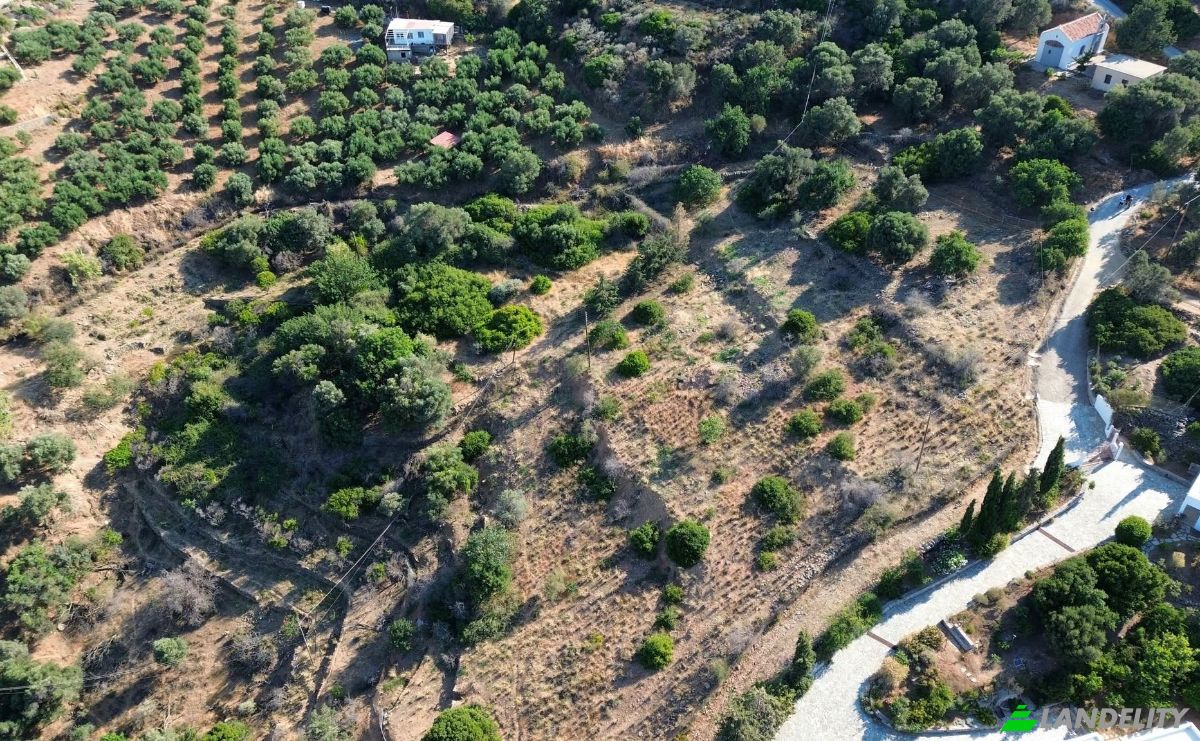 Investing/Development for Sale Gazi 715 00, Gazi, Crete, Decentralized Administration of Crete, Greece. Photo 5