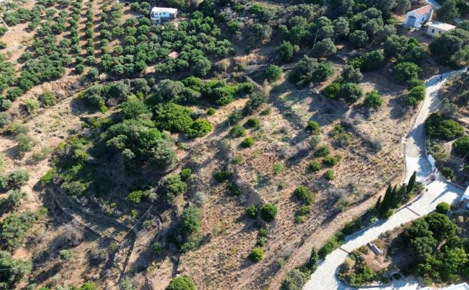 Investing/Development for Sale Gazi 715 00, Gazi. Photo#5 Investing/Development for Sale Gazi 715 00, Gazi. Photo#5