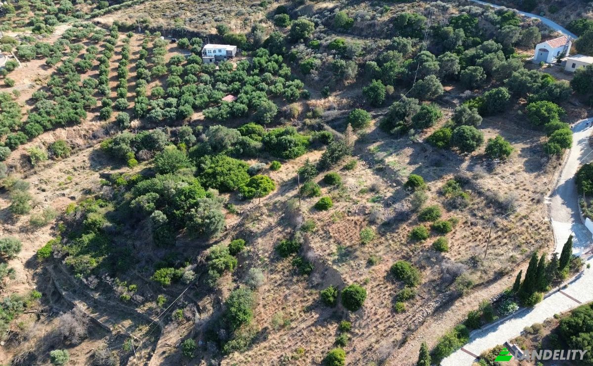 Investing/Development for Sale Gazi 715 00, Gazi, Crete, Decentralized Administration of Crete, Greece. Photo 3