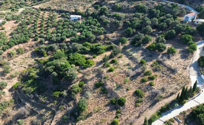 Investing/Development for Sale Gazi 715 00, Gazi. Photo#3 Investing/Development for Sale Gazi 715 00, Gazi. Photo#3