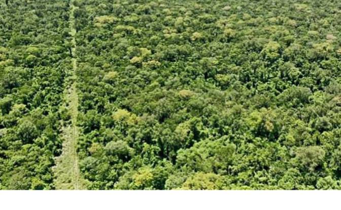 Investing/Development for Sale - Lagerenza'i, Paraguay