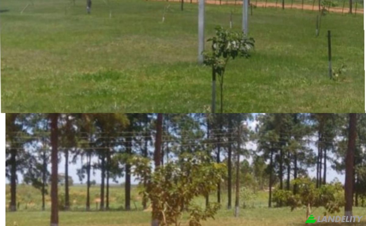 Inwestycje/Rozwój na sprzedaż Via Sin Nombre, Arroyo Moroti, Liberacion, San Pedro Department, Paraguay. Zdjęcie 1