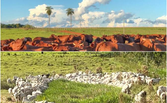 Investing/Development for Sale - Numbue, Paraguay