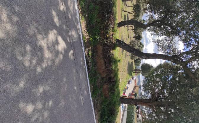 Land Lot for Sale C Arroyo Valdezate. Photo#3