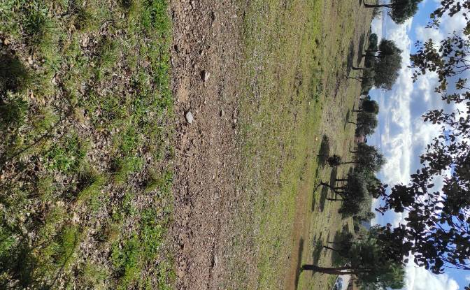 Land Lot for Sale C Arroyo Valdezate. Photo#4