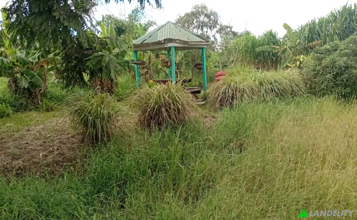 Farm/Ranch for Sale Tsekwe Street, Likuni, Lilongwe, Central Region, Malawi. Photo 5