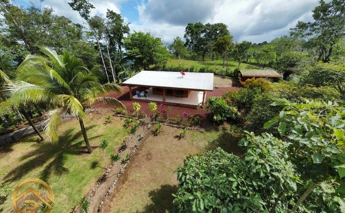 Farm/Ranch for Sale Alajuela Province, San Carlos. Photo#3 Farm/Ranch for Sale Alajuela Province, San Carlos. Photo#3