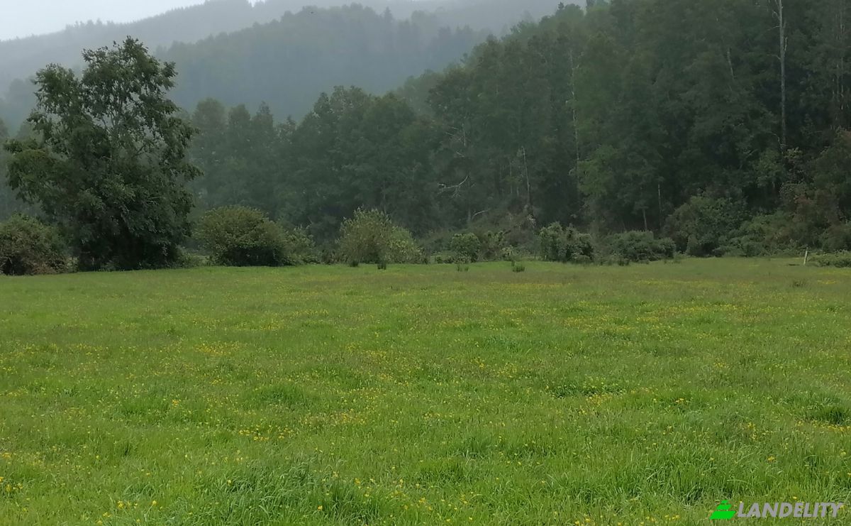 Investing/Development for Sale Via Sin Nombre, Mariquina, Aragon, Valdivia Province, Los Rios, Chile. Photo 10